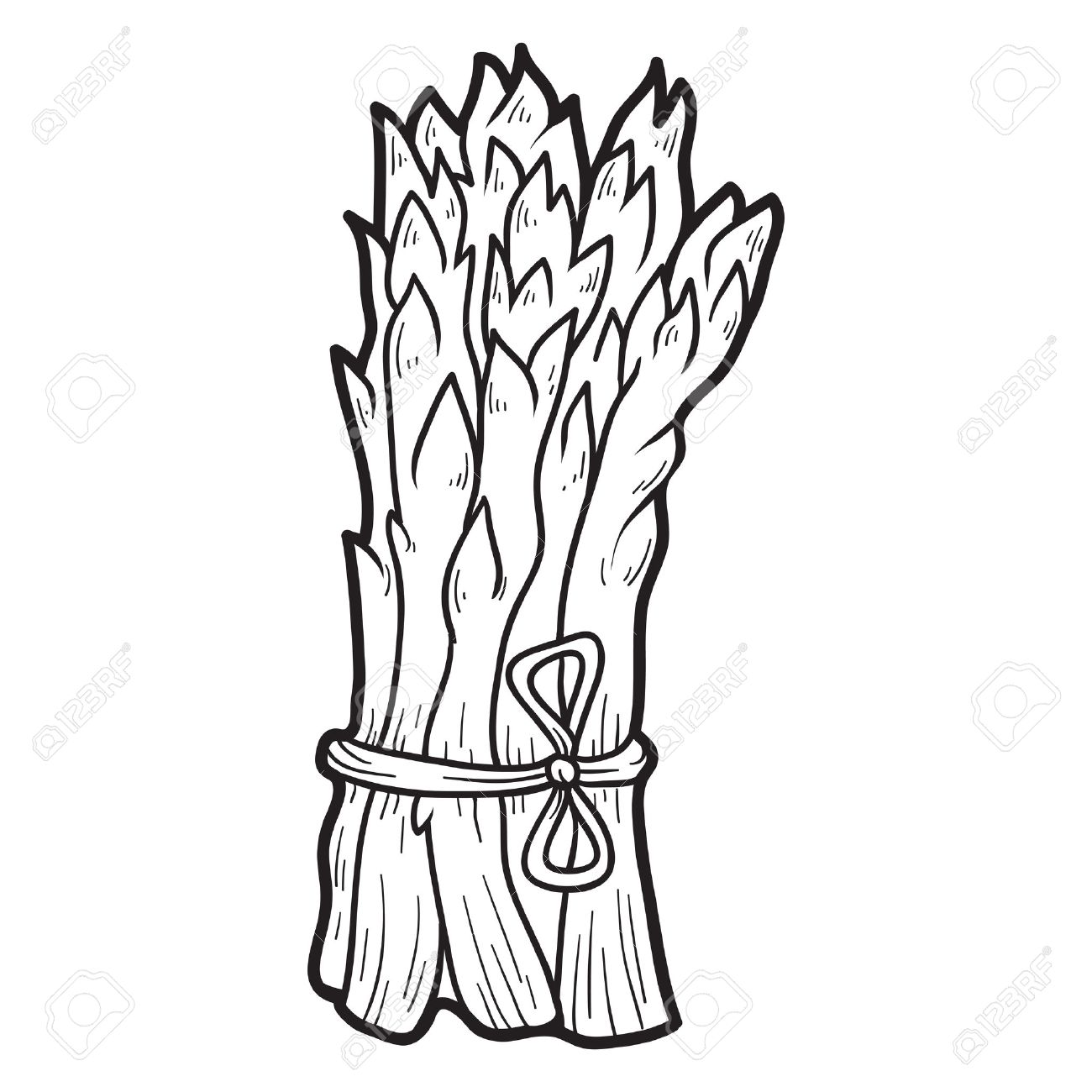 子供のための塗り絵 果物と野菜 アスパラガス のイラスト素材 ベクタ Image 42326716