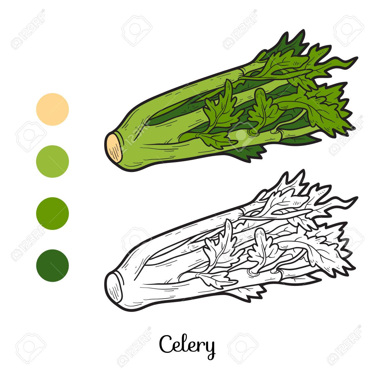 Malbuch Fur Kinder Obst Und Gemuse Sellerie Lizenzfrei Nutzbare Vektorgrafiken Clip Arts Illustrationen Image 42326727