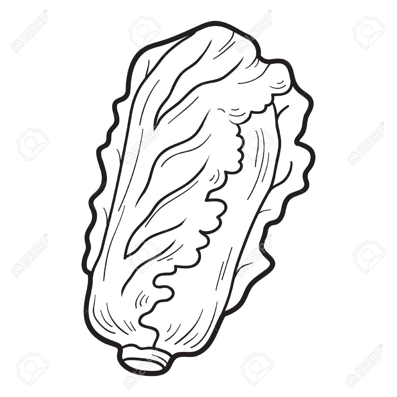 Coloring Book For Children Fruits And Vegetables Chinese Cabbage Stock Vector