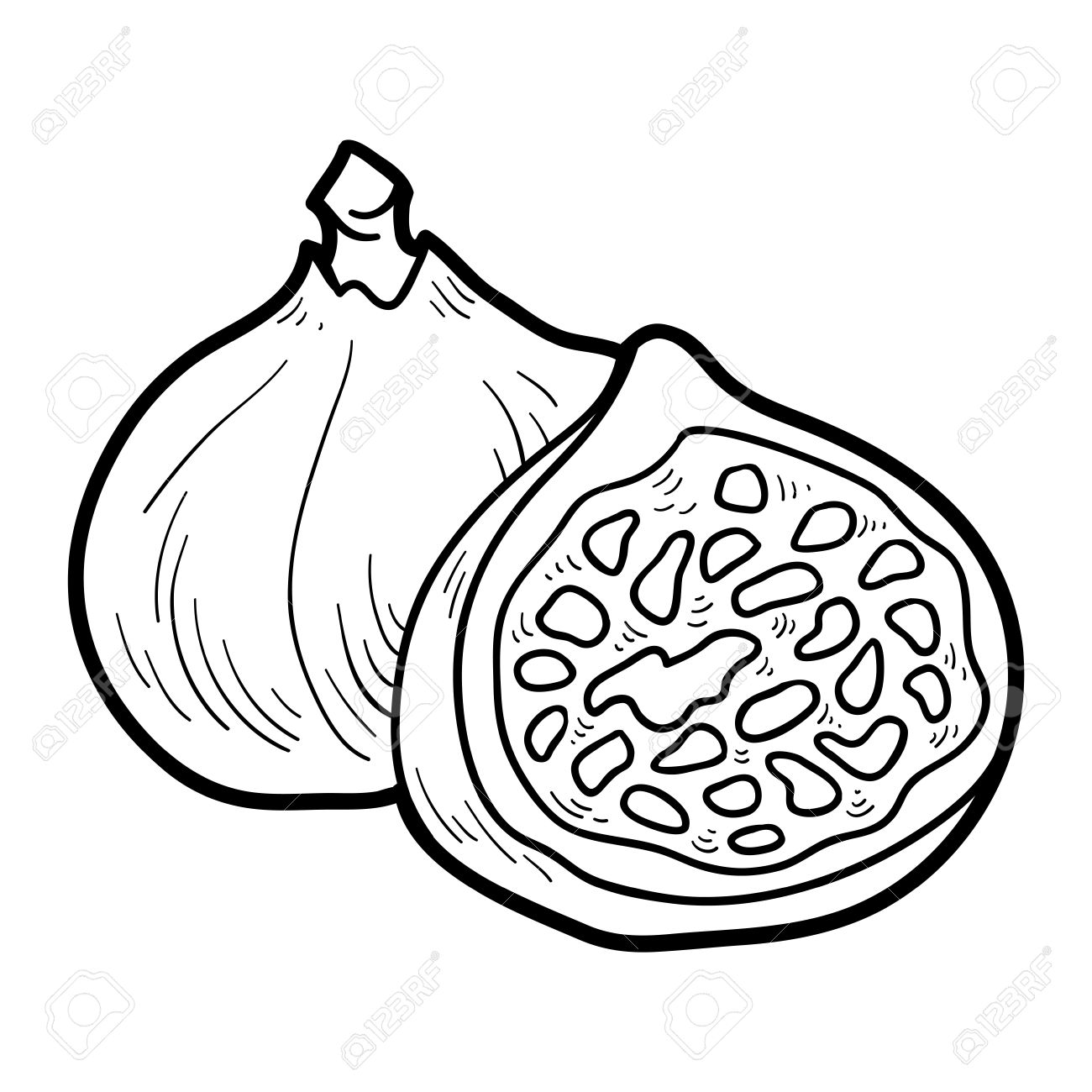 子供のための塗り絵 果物と野菜 イチジク のイラスト素材 ベクタ Image 42198537