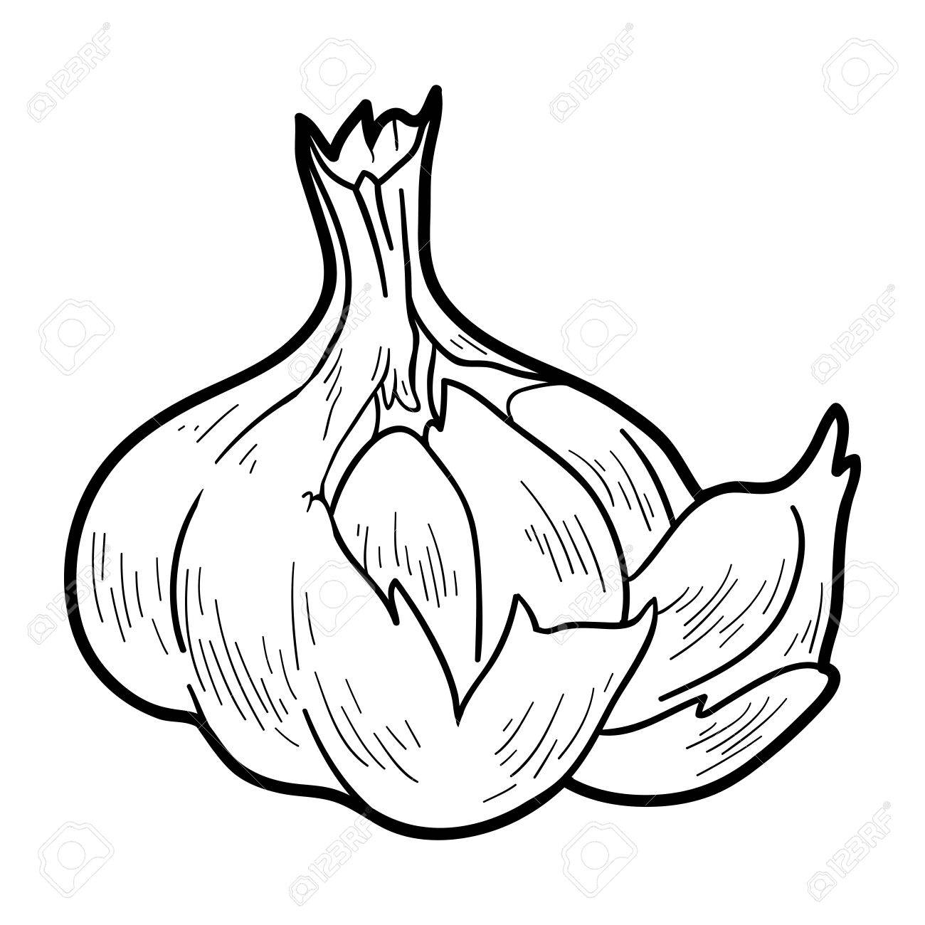 子供のための塗り絵 果物と野菜 にんにく のイラスト素材 ベクタ Image 子供のための塗り絵 果物と野菜 にんにく のイラスト素材 ベクタ Image