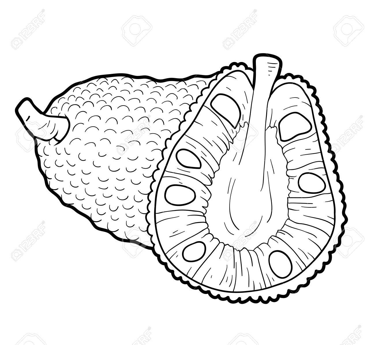 Coloring Book Education Game For Children Fruits And Vegetables Jackfruit Stock Vector