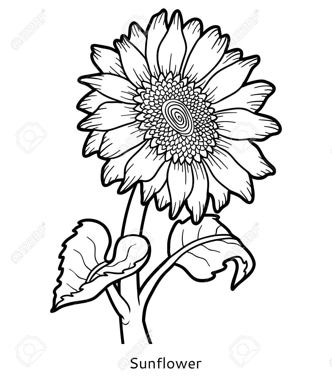Livre à Colorier Pour Les Enfants Fleur De Tournesol Clip Art Livre à Colorier Pour Les Enfants Fleur De Tournesol Clip Art
