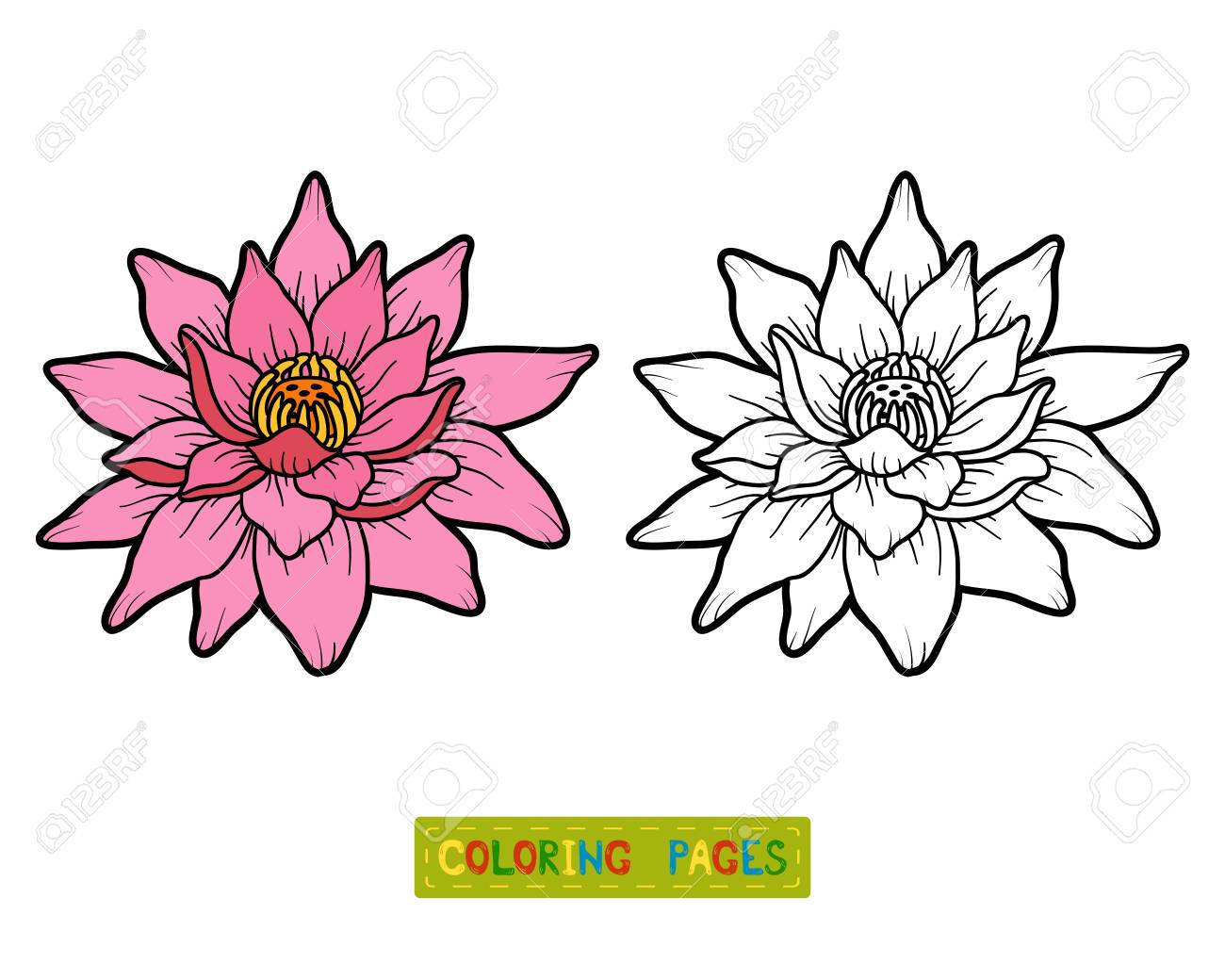 Livre à Colorier Pour Les Enfants Fleur De Lotus