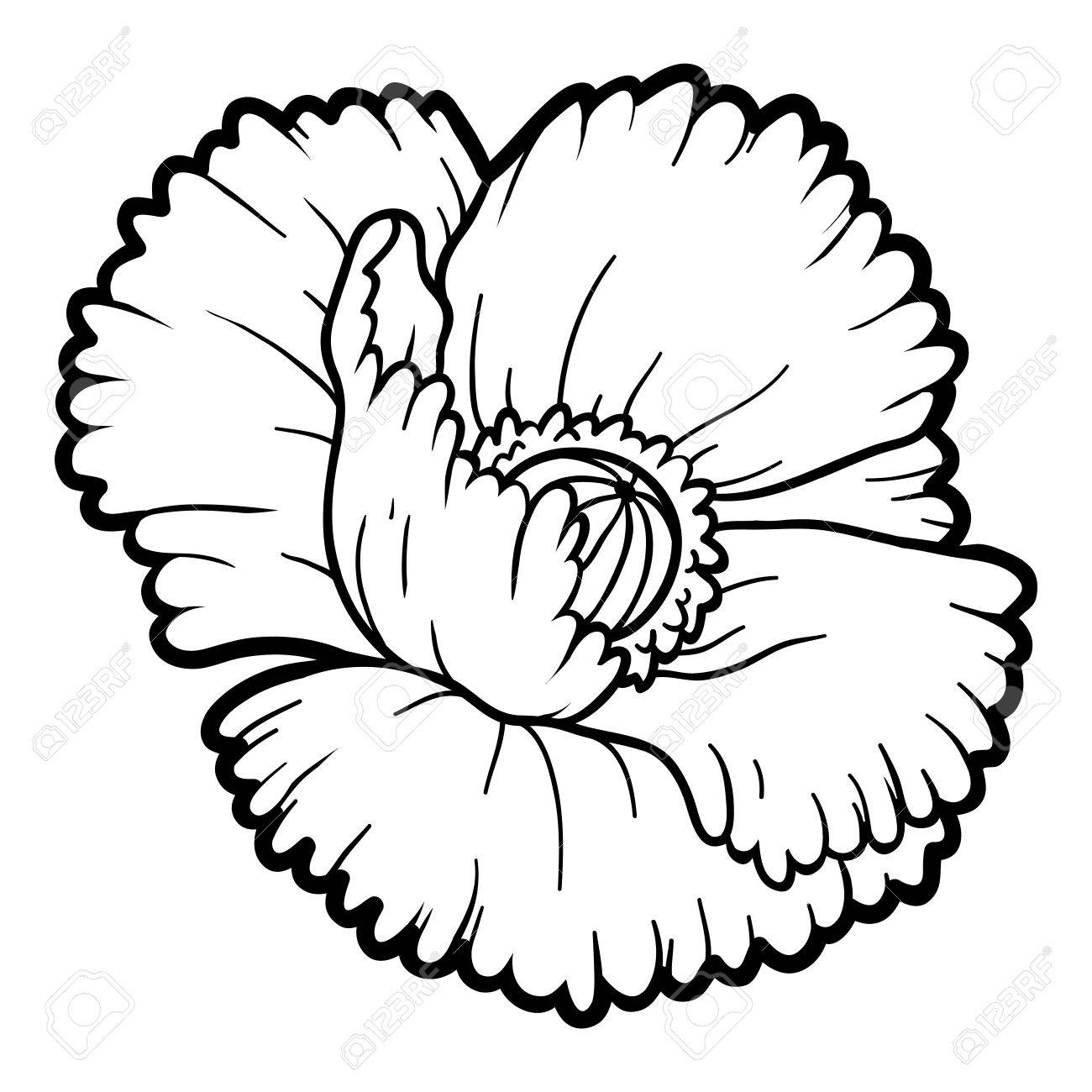 ケシの花の子供のための塗り絵のイラスト素材 ベクタ Image 66627649 ケシの花の子供のための塗り絵のイラスト素材 ベクタ Image 66627649