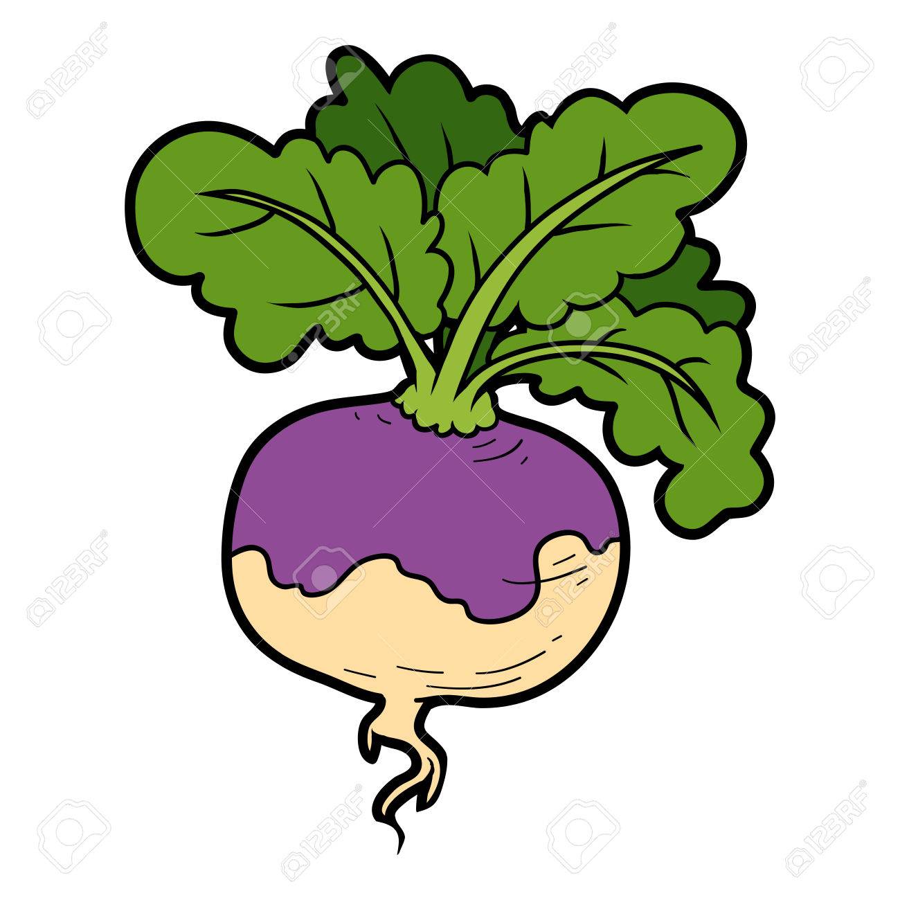 ベクター カラー イラスト カラフルな野菜 カブのイラスト素材 ベクタ Image ベクター カラー イラスト カラフルな野菜 カブのイラスト素材 ベクタ Image