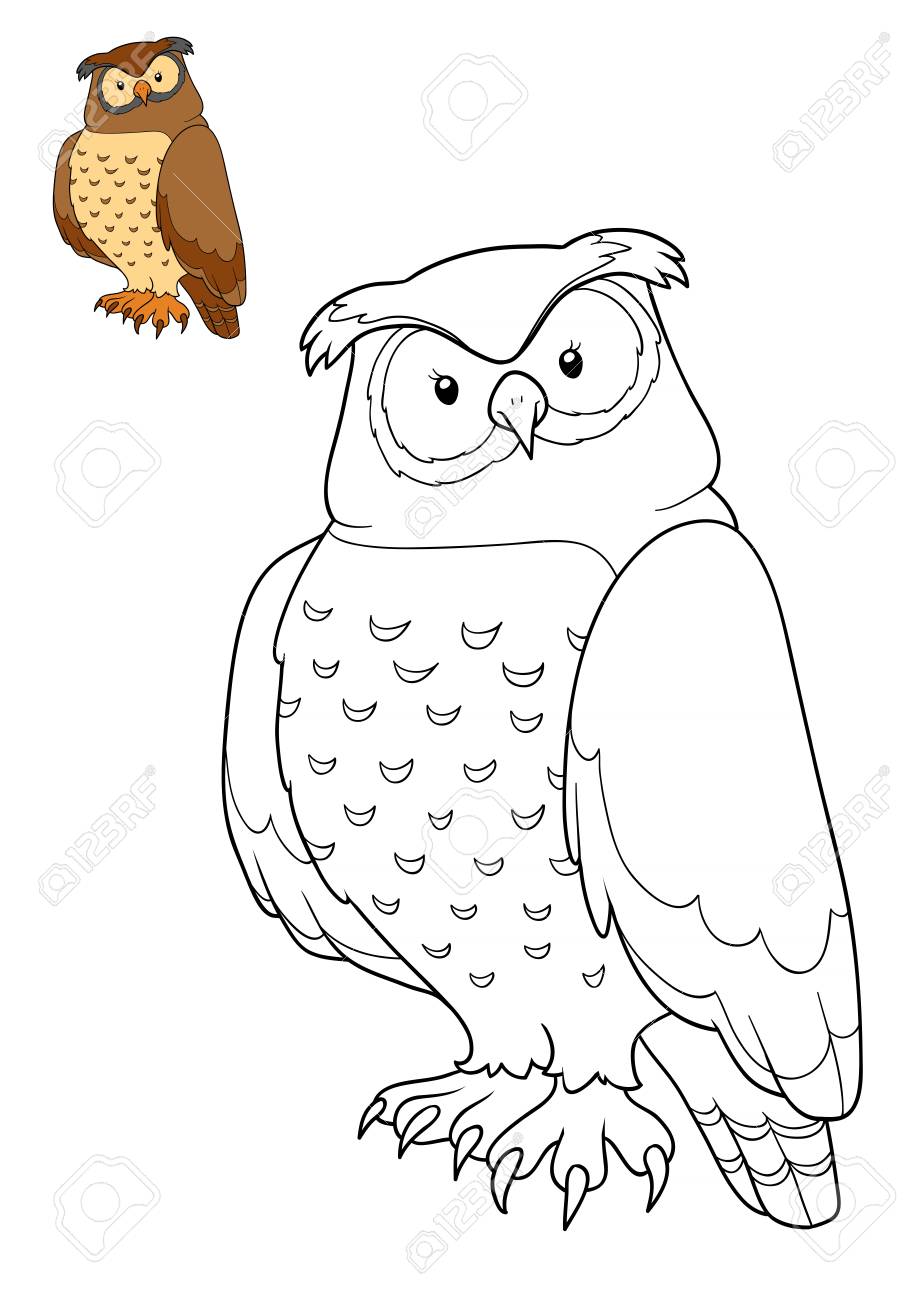 Dibujo Para Colorear Para Niños, Búho Fotos, Retratos, Imágenes Y Fotografía De Archivo Libres De Derecho. Image 70382206. Dibujo Para Colorear Para Niños, Búho Fotos, Retratos, Imágenes Y Fotografía De Archivo Libres De Derecho. Image 70382206.