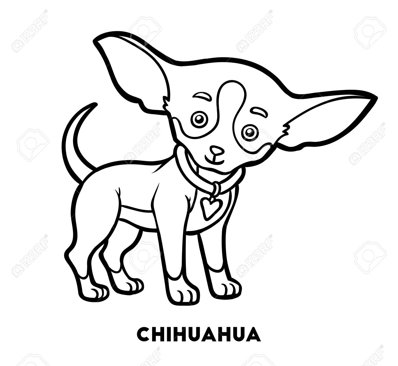 Livre à Colorier Pour Les Enfants Races De Chiens Chihuahua