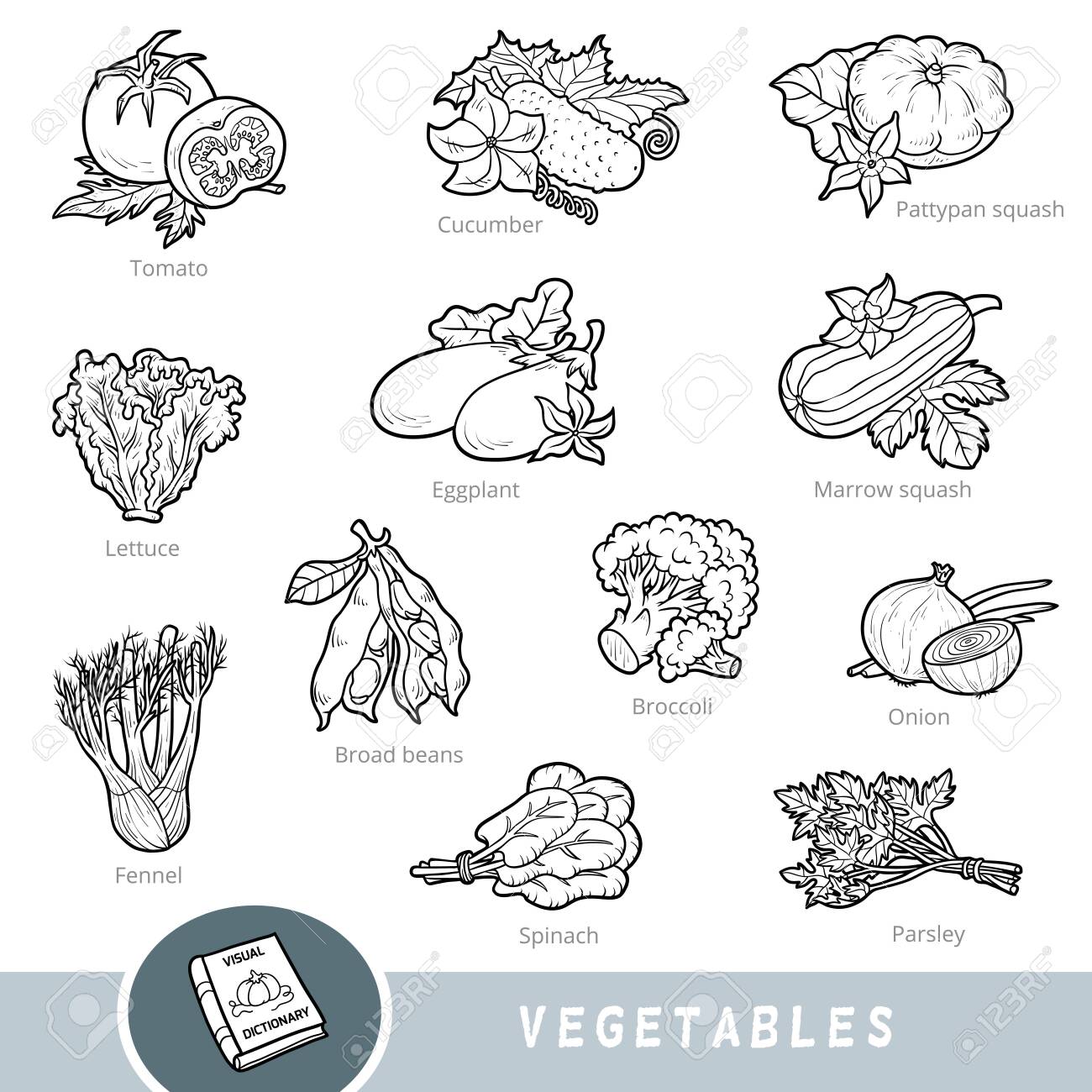 Black And White Set Of Vegetables, Collection Of Vector Nature Items With Names In English. Cartoon Visual Dictionary For Children About Plants Royalty Free SVG, Cliparts, Vectors, And Stock Illustration. Image 133103183. Black And White Set Of Vegetables, Collection Of Vector Nature Items With Names In English. Cartoon Visual Dictionary For Children About Plants Royalty Free SVG, Cliparts, Vectors, And Stock Illustration. Image 133103183.