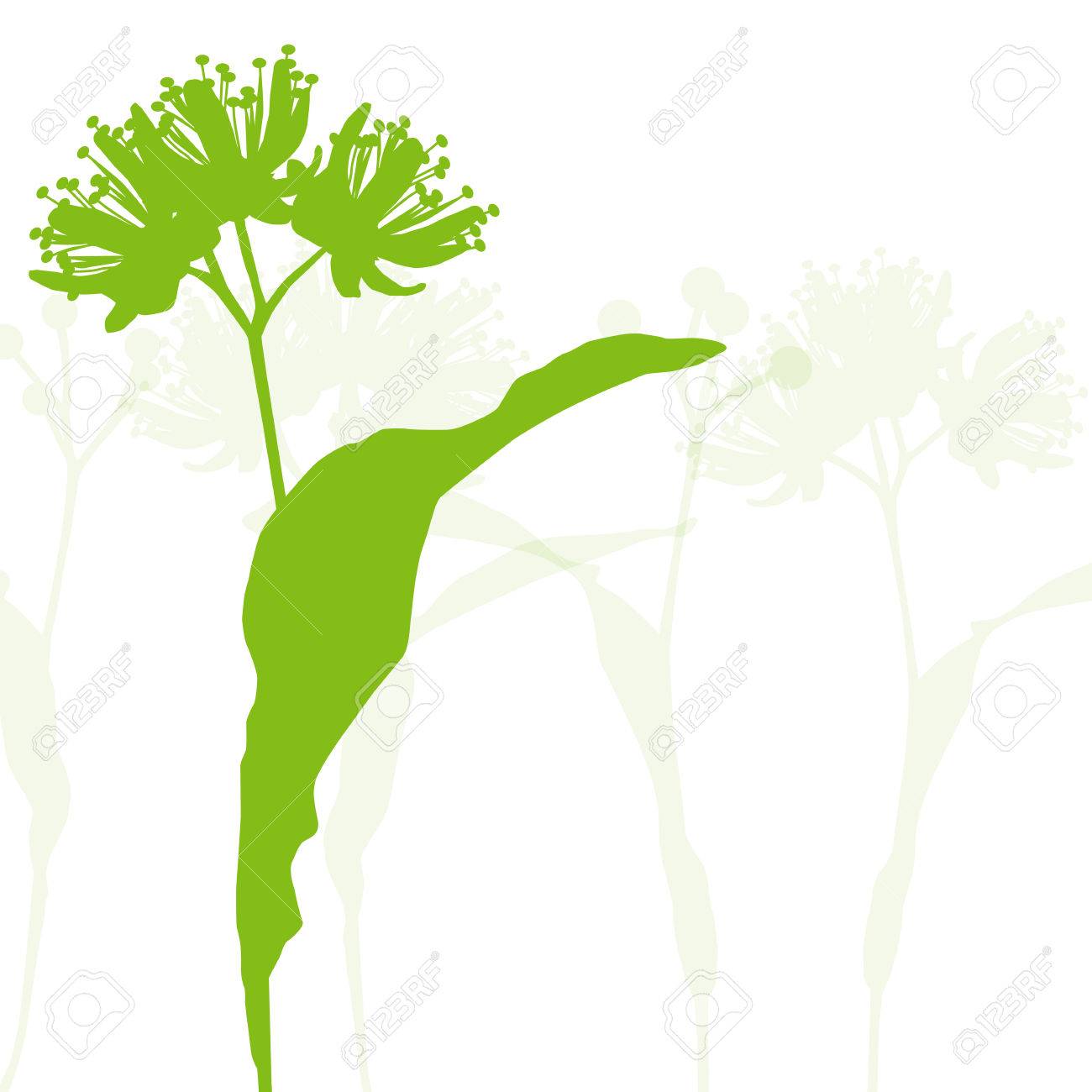 リンデンの花生態学背景ベクトル抽象的なイラストのイラスト素材 ベクタ Image リンデンの花生態学背景ベクトル抽象的なイラストのイラスト素材 ベクタ Image