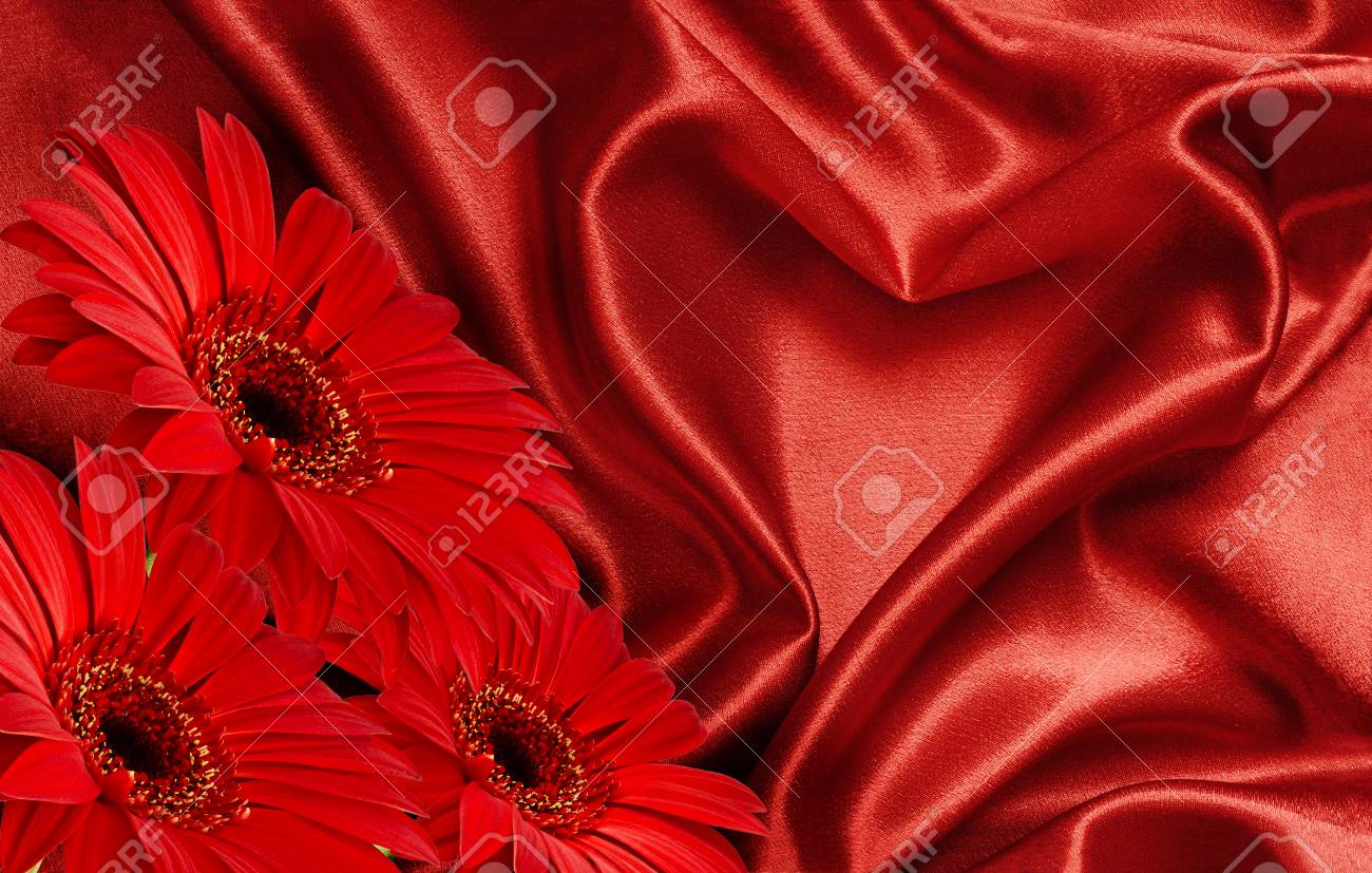 Tecido De Cetim Vermelho Envolto Na Forma De Flores De Coracao E Gerbera Vermelhas Para O Fundo Do Dia Dos Namorados Fotos Retratos Imagenes Y Fotografia De Archivo Libres De Derecho Image