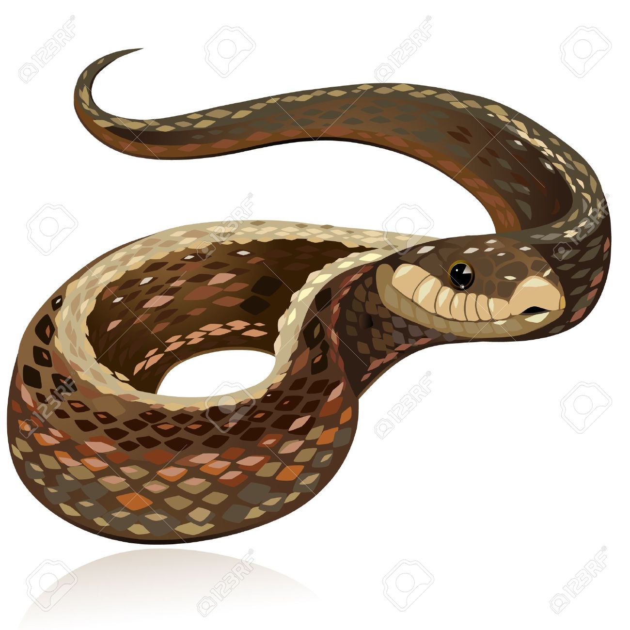 realistic snake