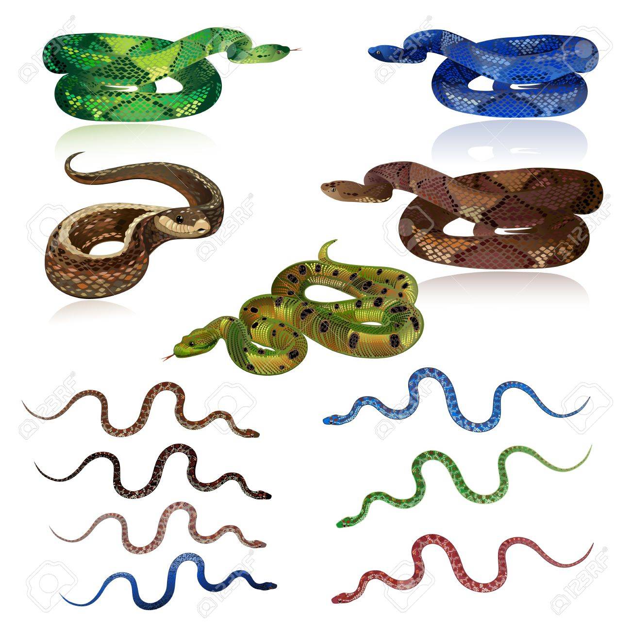 наборы со змеями. игрушки фигурки змеи. наборы со змеями. игрушечная кобра. набор змей резиновых.