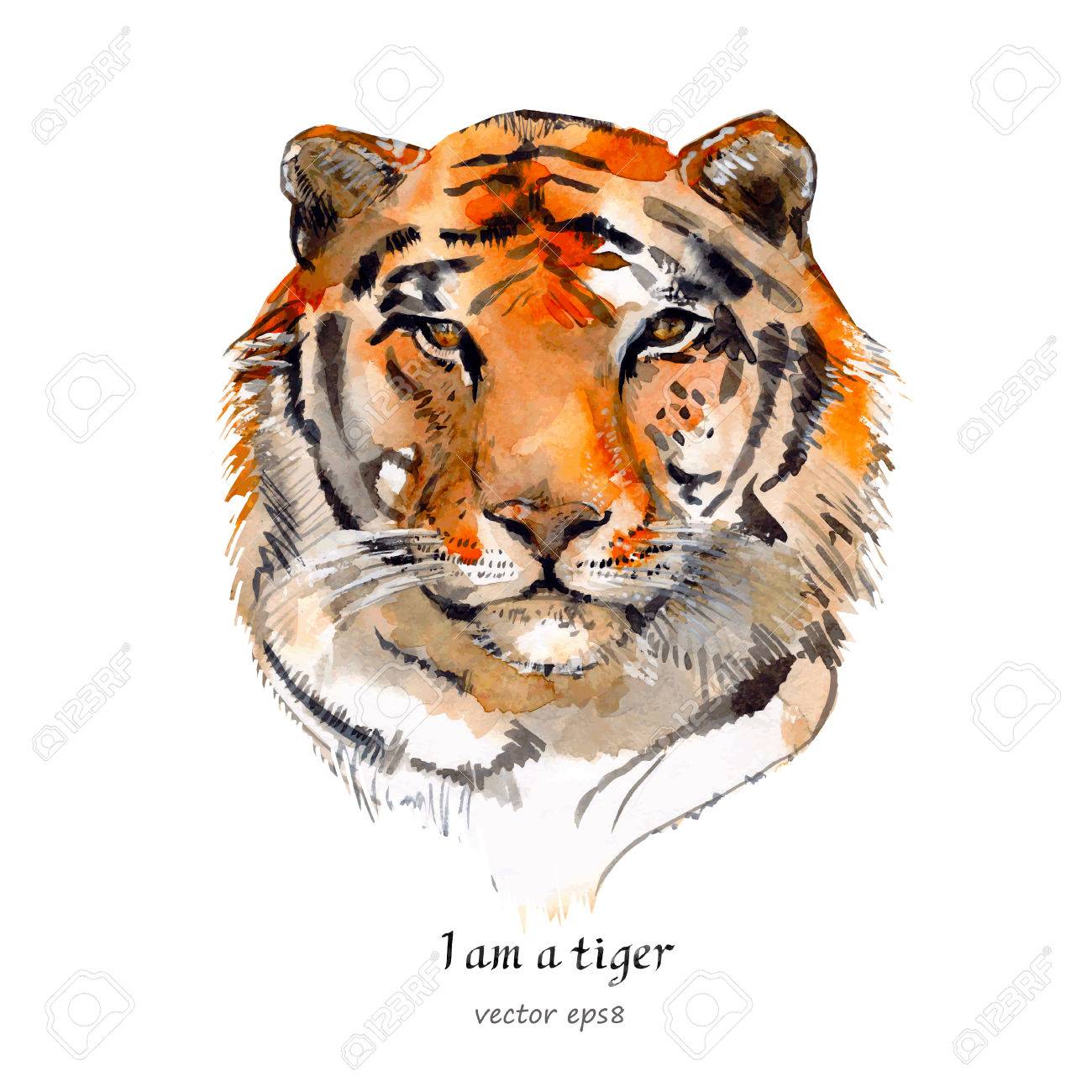 虎の肖像画。水彩のイラスト素材・ベクター Image 40099940