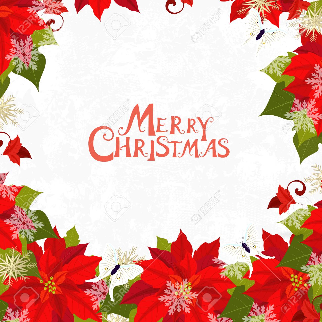 christmas invitation card with poinsettia for your design royalty poinsetta design