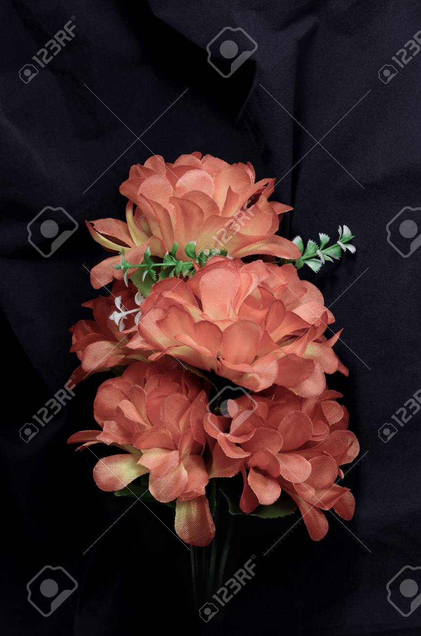 The faded image of one of the branches red flowers type roses..