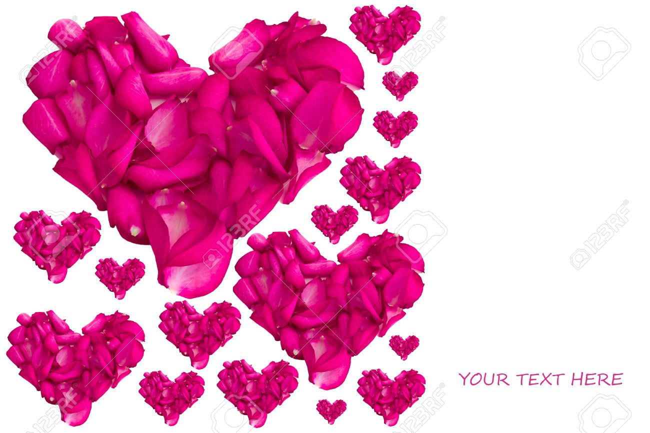 valentine card with heart shaped rose petals stock photo picture