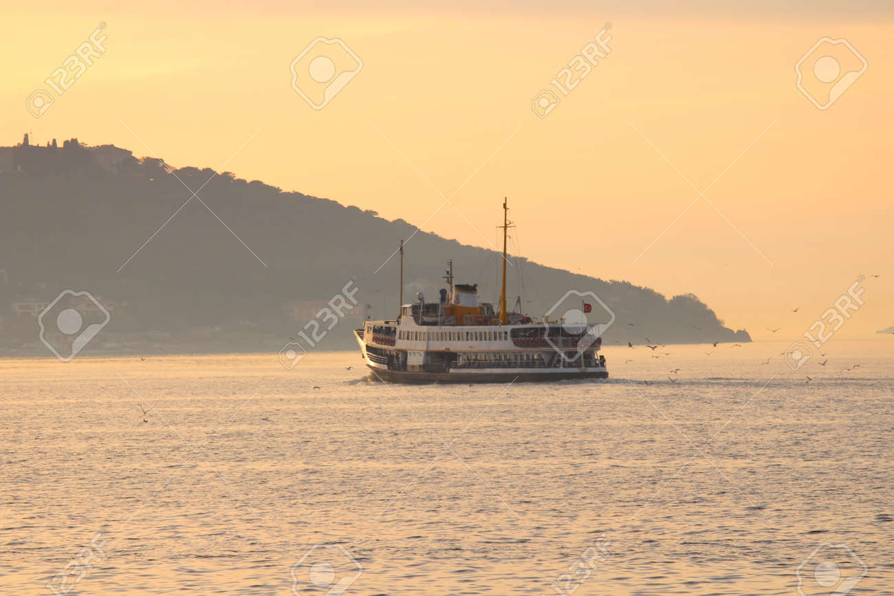 etiam-dictum-ipsum-a-felis