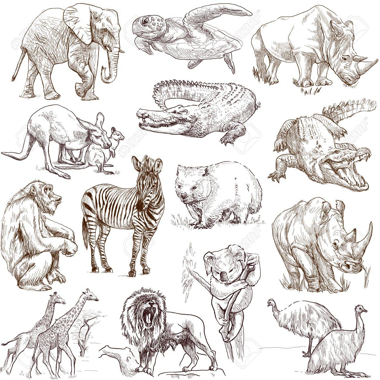 コレクションの世界の周りに動物は 1、白 - 手描きイラスト集