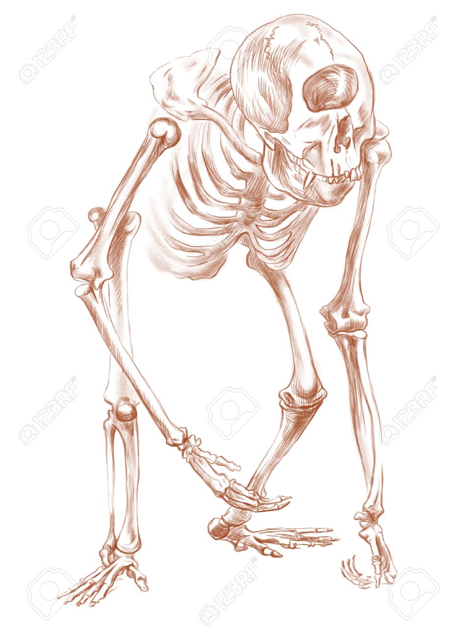 伝説的な動物やモンスター スケルトン シリーズのイラスト サイクロプス 描画し フル塗装 手サイズのイラスト オリジナル バージョン 白い背景上に描画します の写真素材 画像素材 Image