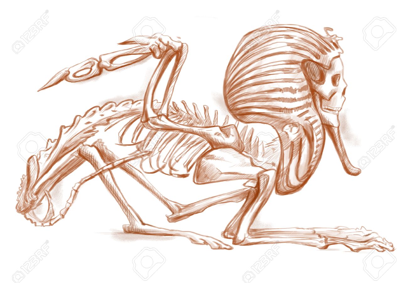 伝説的な動物やモンスター スケルトン シリーズのイラスト スフィンクス 描画し フル塗装 手サイズのイラスト オリジナル バージョン 手が白い背景上に描画します の写真素材 画像素材 Image