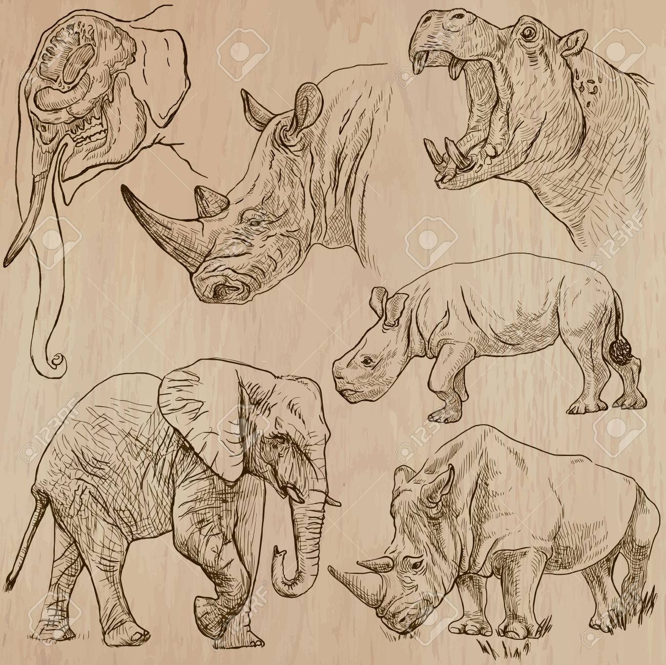 重い動物 パック 3 号 手描きのベクトル イラスト集 各図面の線のいくつかの層で構成されます 背景色は分離です 簡単な編集 のイラスト素材 ベクタ Image