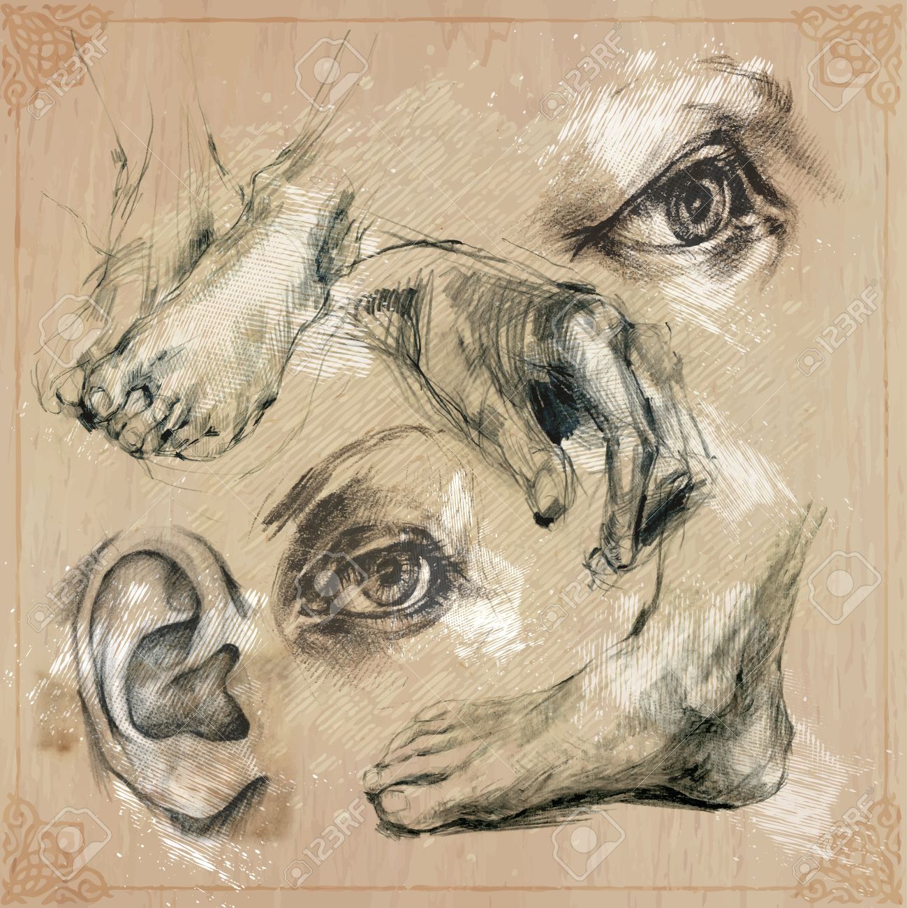 手描きイラスト 人間の体の部分 目 脚 手 耳 鉛筆は ベクトル パックに変換されます 手描きイラスト集です フリーハンド 鉛筆スケッチのセットです のイラスト素材 ベクタ Image 手描きイラスト 人間の体の部分 目 脚 手 耳 鉛筆は ベクトル パックに変換されます 手描きイラスト集です フリーハンド 鉛筆スケッチのセットです のイラスト素材 ベクタ Image