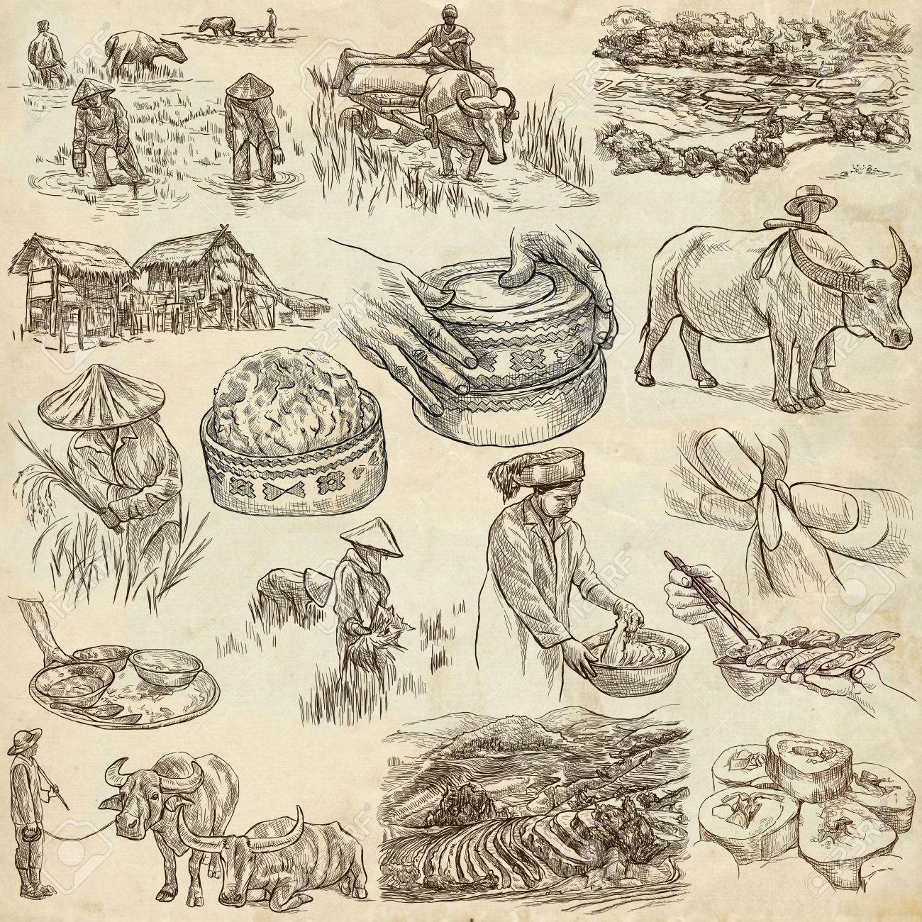 農家の Rice Agriculture Life 米作 セット 手書きイラストのコレクションです 完全なサイズ手のパックには イラストが描かれています フリーハンド スケッチのセットです ライン アートの手法 紙に描く の写真素材 画像素材 Image