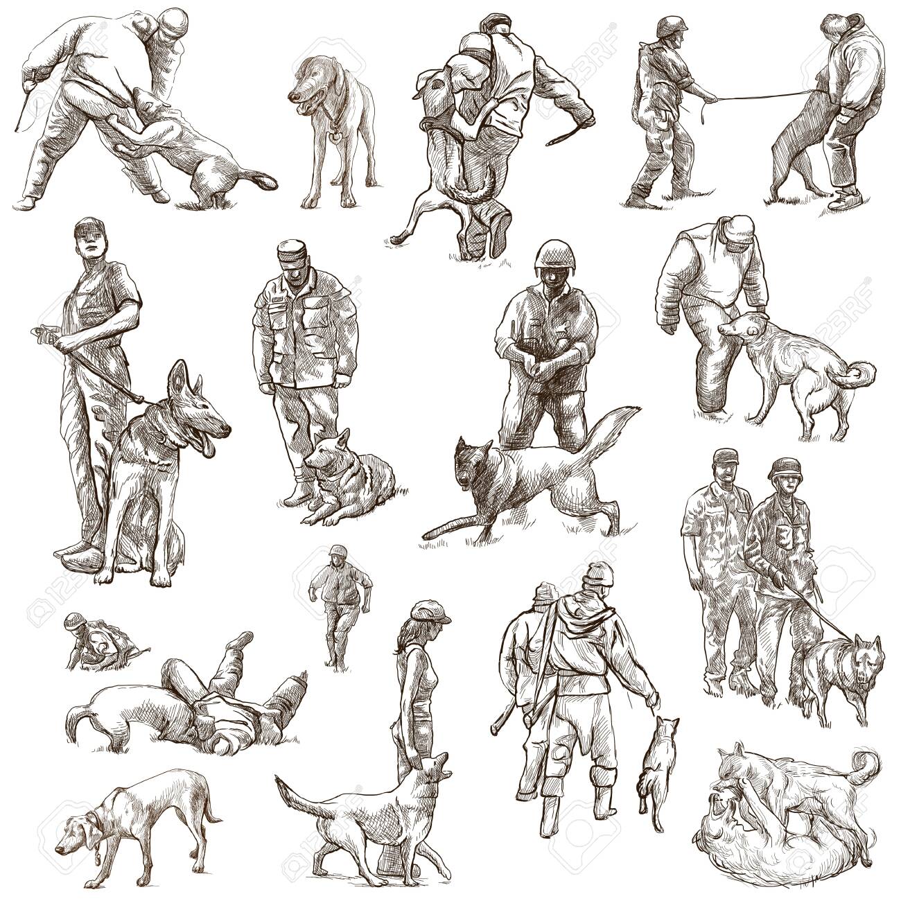 DOGS - Dog Training. Collection Of An Hand Drawn Illustrations ...