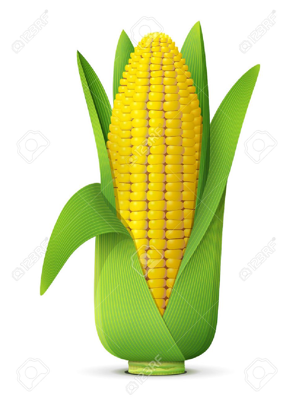 ear of corn with