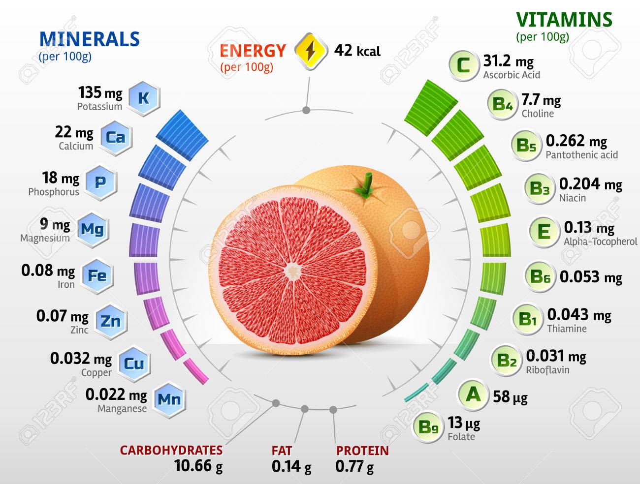 Vitaminas Y Minerales De Fruta De Pomelo. Infografía Sobre Nutrientes En  Toronja Cruda. Mejor Ilustración Vectorial De Frutas, Vitaminas,  Agricultura, Alimentos Saludables, Nutrientes, Dieta, Etc Ilustraciones  Svg, Vectoriales, Clip Art Vectorizado Libre