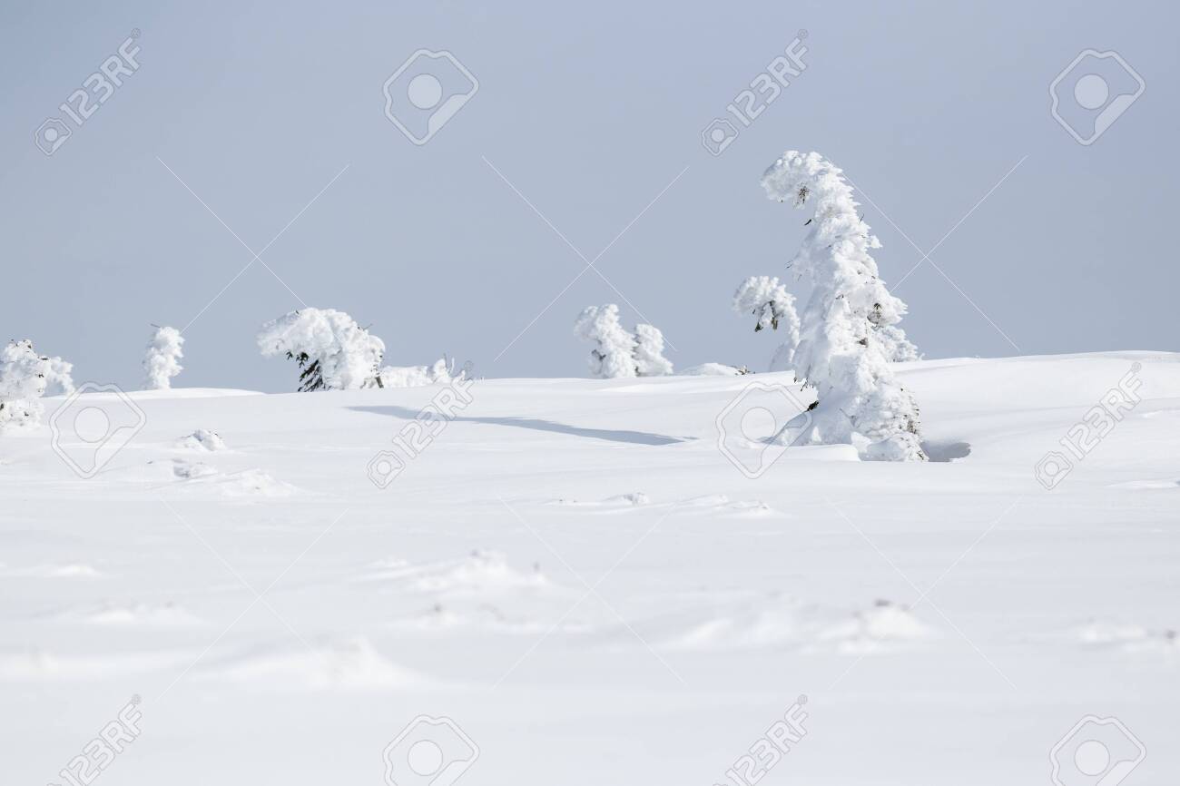 Winter landscape in Krkonose (Poland, Czech Republic) - 133091856 Winter landscape in Krkonose (Poland, Czech Republic) - 133091856