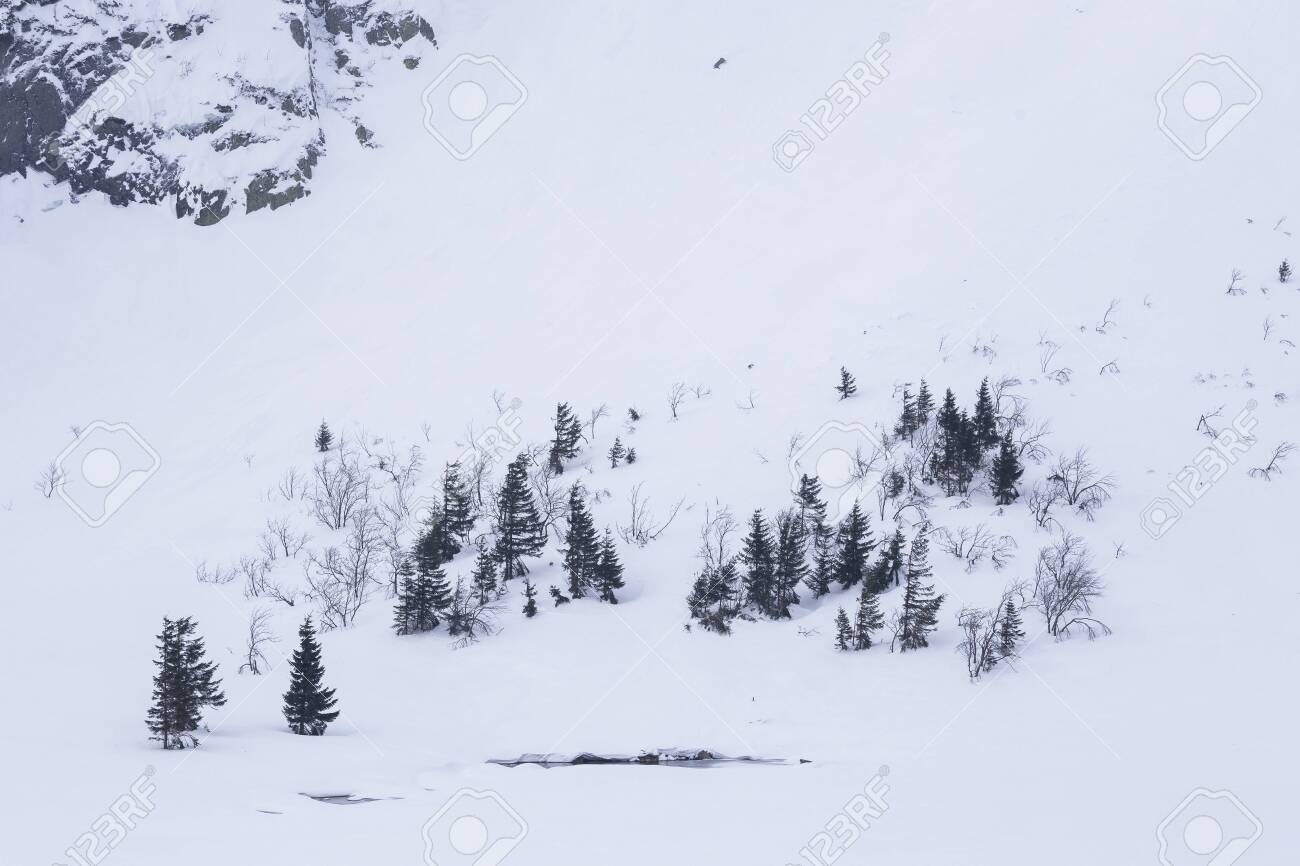 Landscape of the Giant mountains (Krkonose) in winter - 133182015 Landscape of the Giant mountains (Krkonose) in winter - 133182015