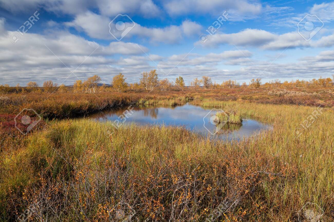 Autumnal fjell landscape in northern Finland - 133182170 Autumnal fjell landscape in northern Finland - 133182170