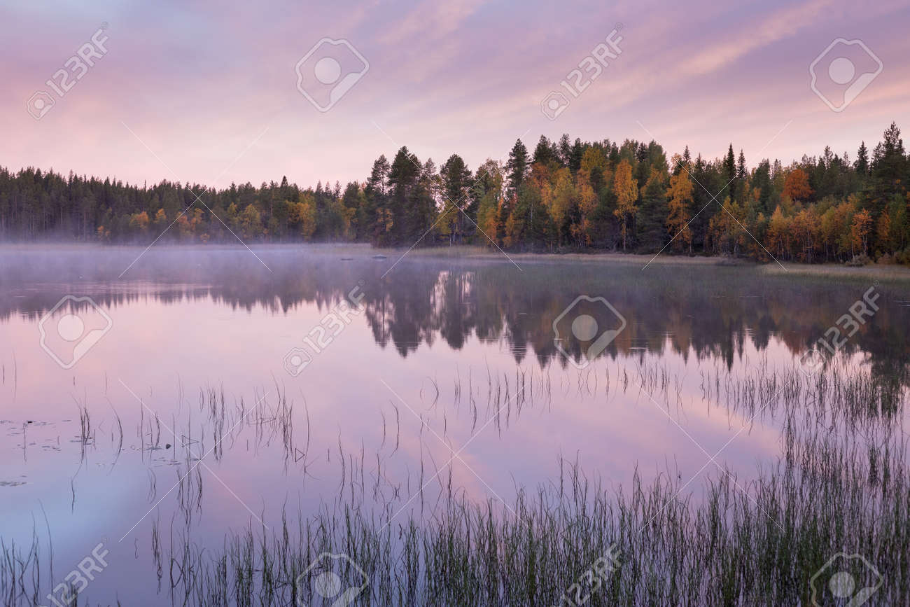 Autumnal lake scenery in Sweden during sunrise - 131598037 Autumnal lake scenery in Sweden during sunrise - 131598037