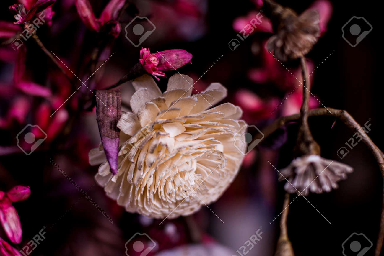 etiam-dictum-ipsum-a-felis