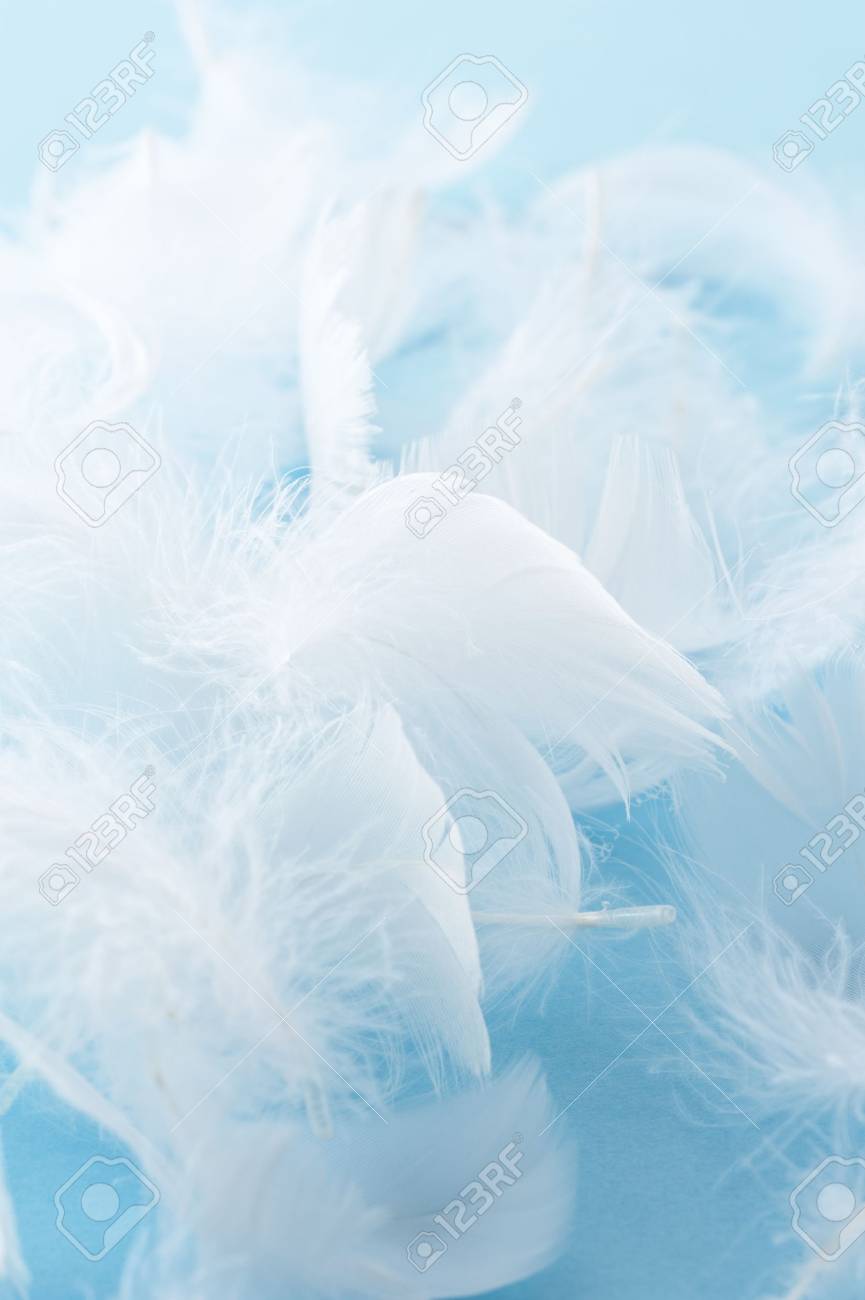 水色の背景の鳥の白い羽 の写真素材 画像素材 Image