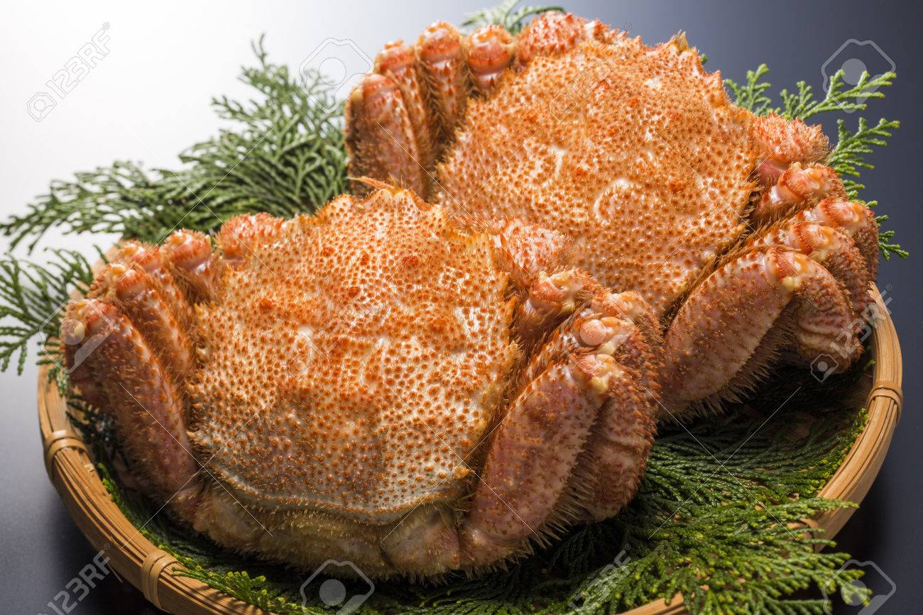 毛ガニ の写真素材 画像素材 Image