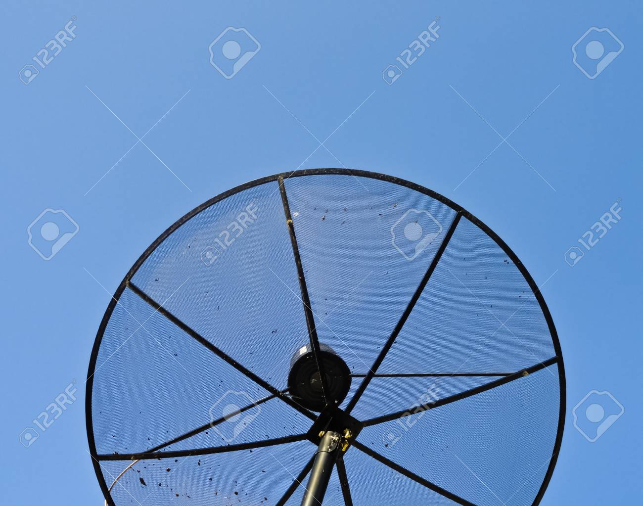 etiam-dictum-ipsum-a-felis