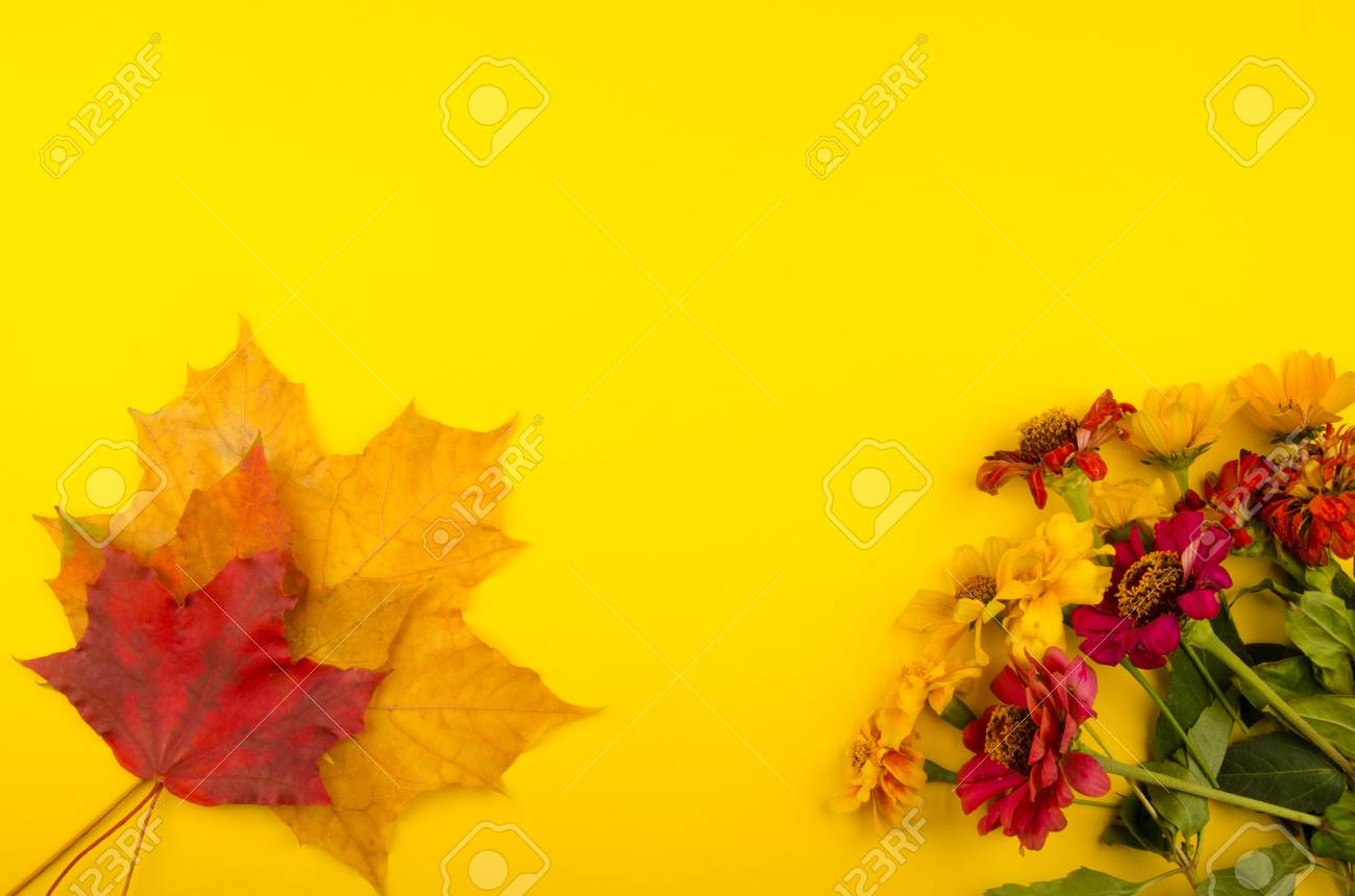 yellow and red autumn