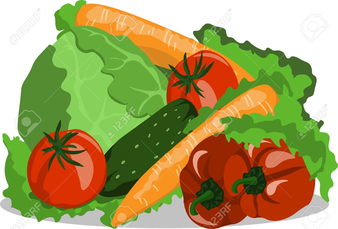 ベクトル画像野菜静物キュウリ トマトにんじんキャベツ ピーマン のイラスト素材 ベクタ Image