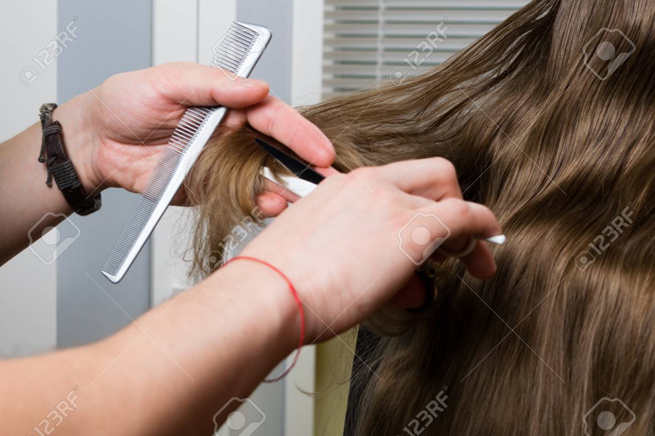 Haircut Of Long Hair Of The Girl Removal Of Split Ends