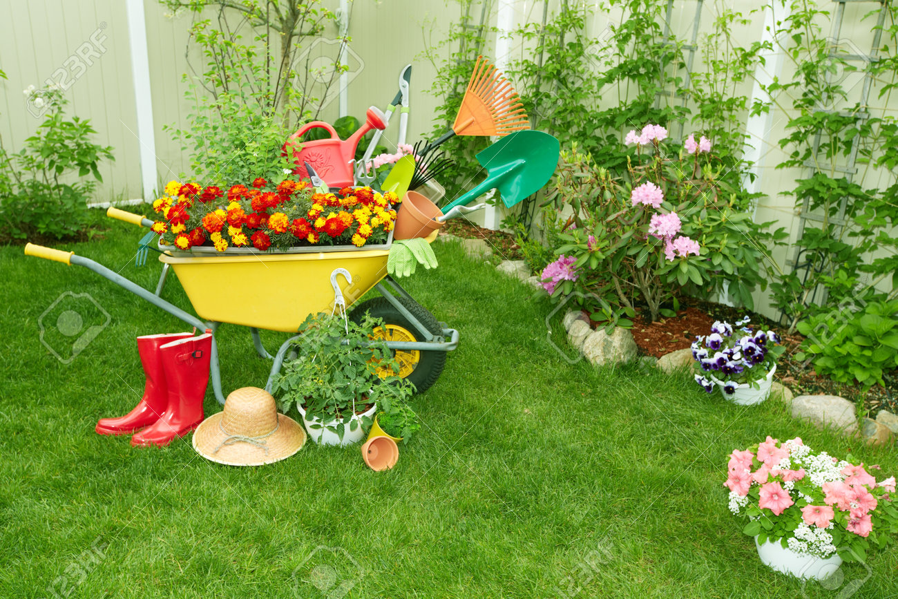 庭でのガーデニングと手押し車 の写真素材 画像素材 Image