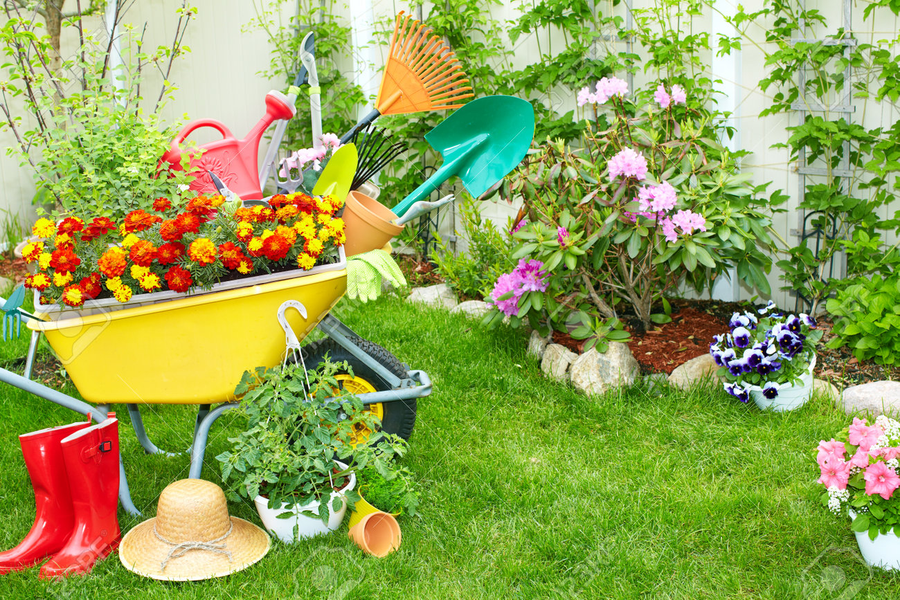 庭でのガーデニングと手押し車 の写真素材 画像素材 Image