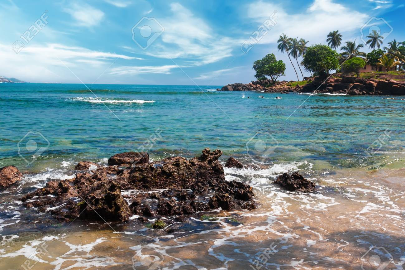 ヤシの木と熱帯植物海岸 砂浜の楽園ビーチ ターコイズ ブルーの海 の写真素材 画像素材 Image 80037373