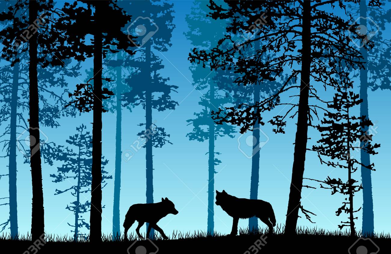 Vector landscape of two wolves in a forest with blue misty background. - 102418114 Vector landscape of two wolves in a forest with blue misty background. - 102418114