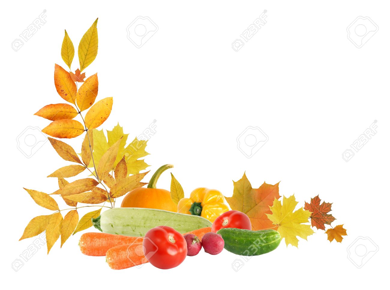 harvest border