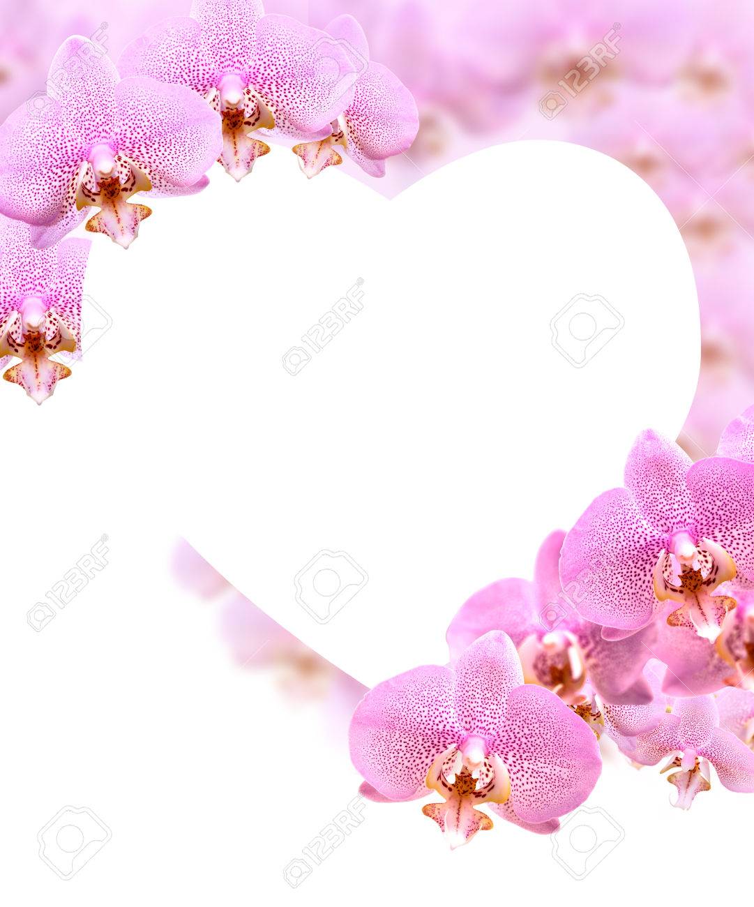 Carte De Voeux Comme Forme De Coeur Faite De Beaucoup De Fleurs D Orchidee Rose Banque D Images Et Photos Libres De Droits Image Carte De Voeux Comme Forme De Coeur Faite De Beaucoup De Fleurs D Orchidee Rose Banque D Images Et Photos Libres De Droits Image