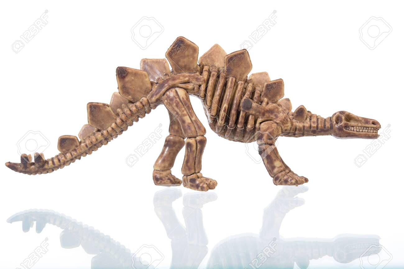 dinosaur skeleton figures