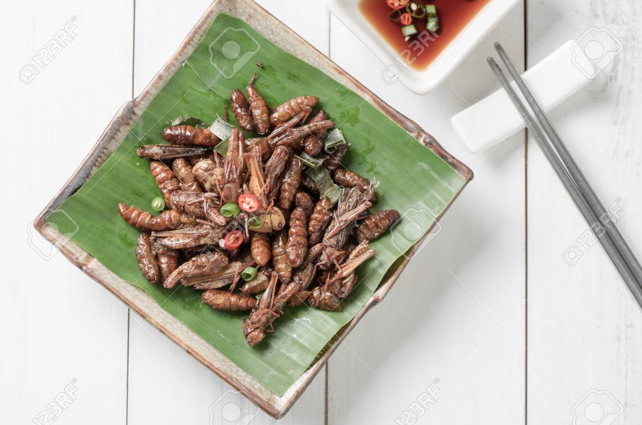 揚げバッタと揚げ Wormor 蚕 食用昆虫を食べる タイのローカル食品を揚げた の写真素材 画像素材 Image